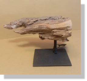 TAUR� 2022   20�   16X8X10 cm.  