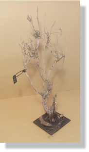 FARIGOLA 2023   18�   7X7X28 cm.  