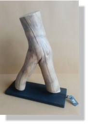 XINOXANO 2021   32�   16X7X22 cm.