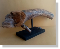 KATT 2021   38�   40X17X18 cm.