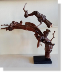 ZOO  2021   80�   50X25X43 cm.